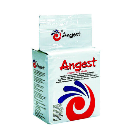 FERMENTO SECO INSTAN ANGEST 500G SALG SP