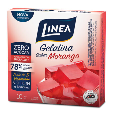 GELATINA ZERO ACUCAR MORANGO 24X10G