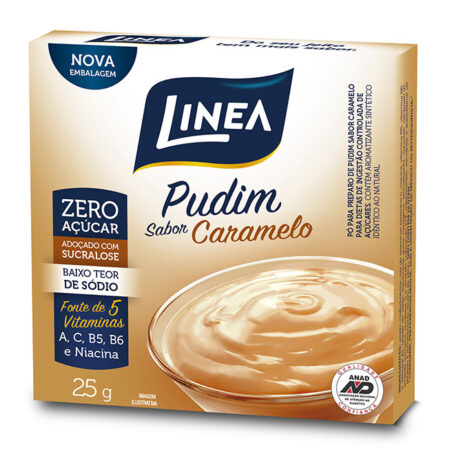 PUDIM ZERO ACUCAR CARAMELO 24X25G
