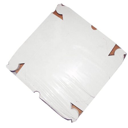 CAIXA P/ SALGADOS 25X25X5 C/10