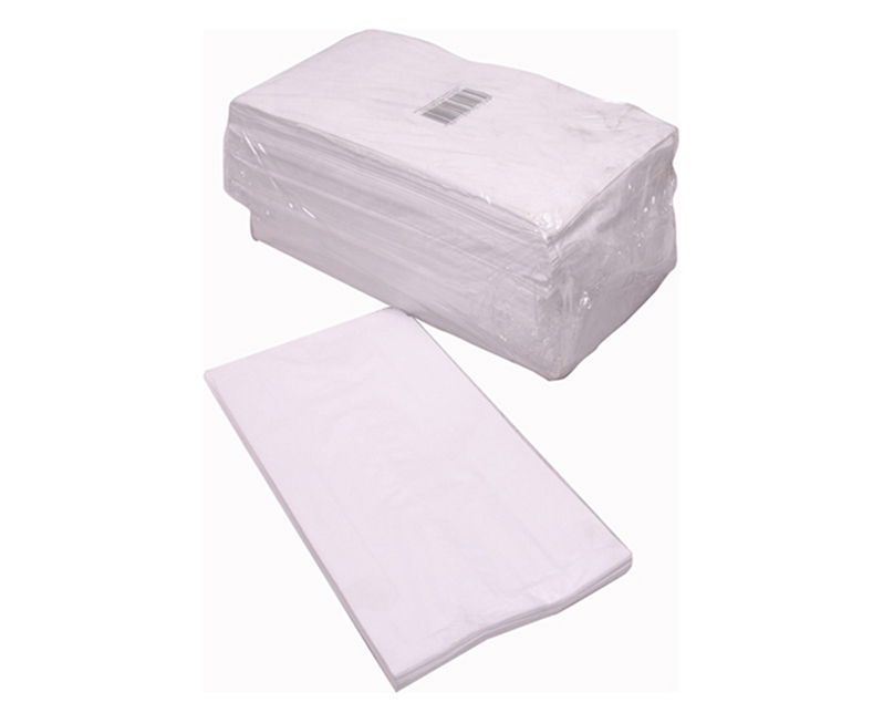 SACO PAPEL BRANCO VIAGEM 2 C/500