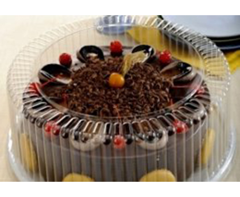 BAND PLAS G60MA TORTA GRD C/50
