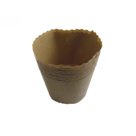 FORMA PANET DECOR 250G C/100 GLASSINE EC